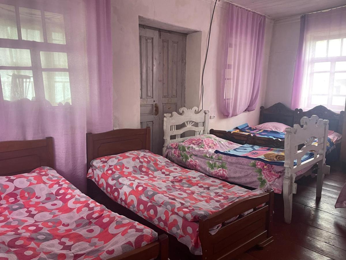 Gunter Guest House Adishi ภายนอก รูปภาพ
