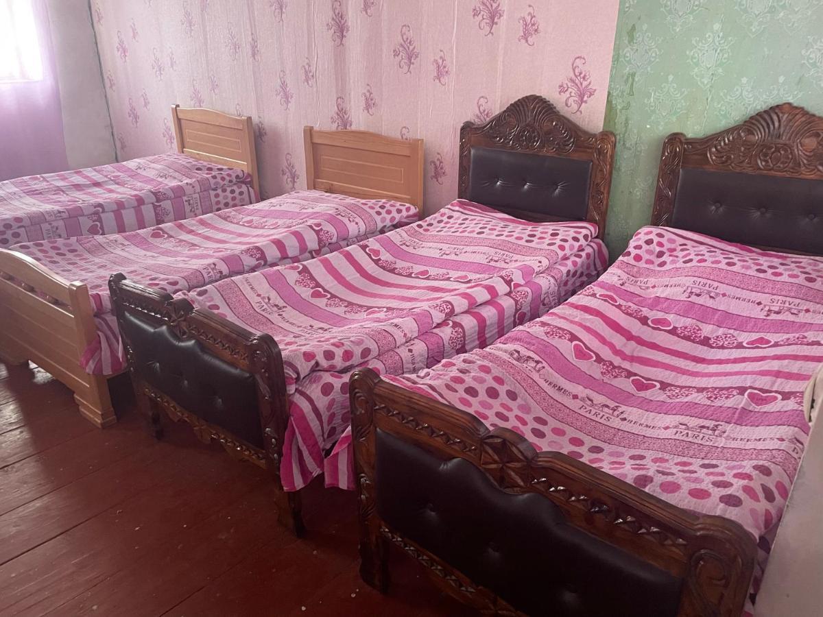 Gunter Guest House Adishi ภายนอก รูปภาพ